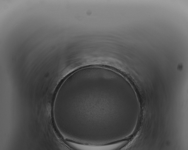 X0000098001505200804011820