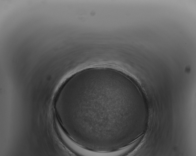 X0000098001506200804011820