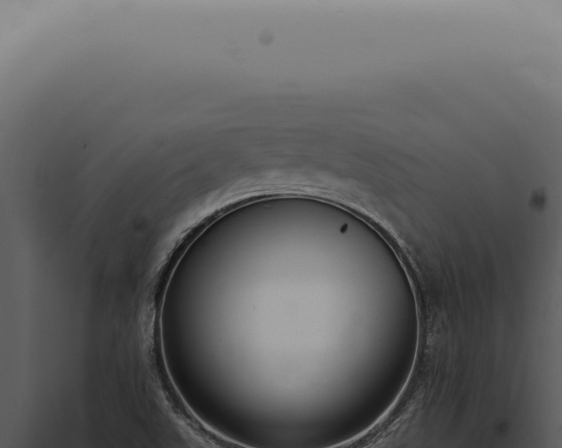 X0000098001507200804011820