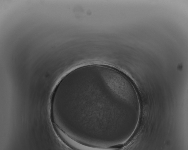 X0000098001508200804011820