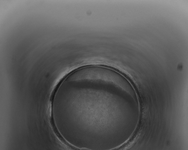 X0000098001509200804011820