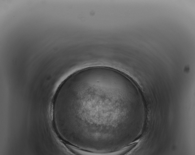 X0000098001510200804011820