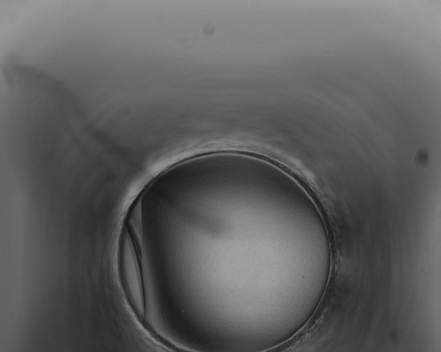 X0000098001512200804011820