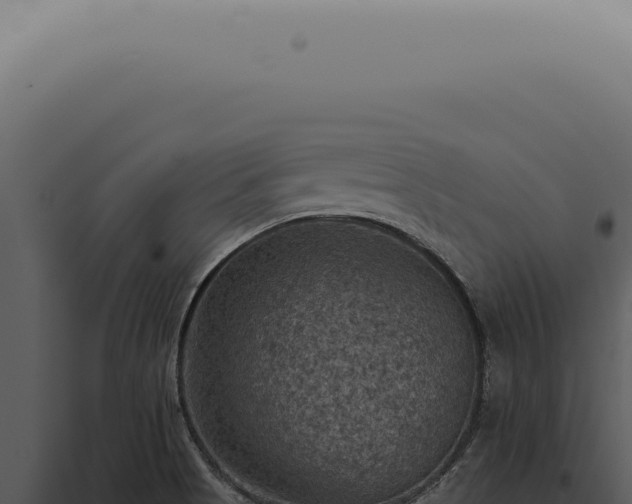 X0000098001513200804011820