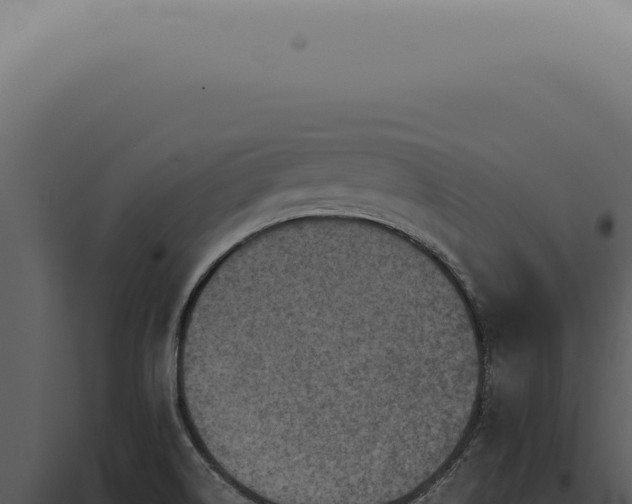 X0000098001514200804011820