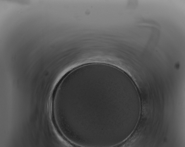 X0000098001515200804011820