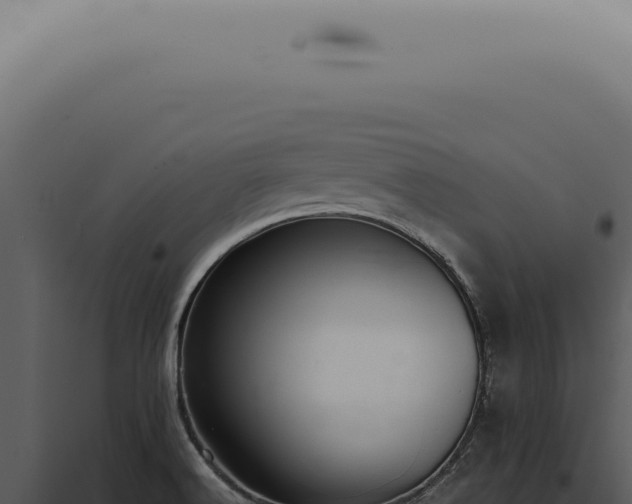 X0000098001516200804011820