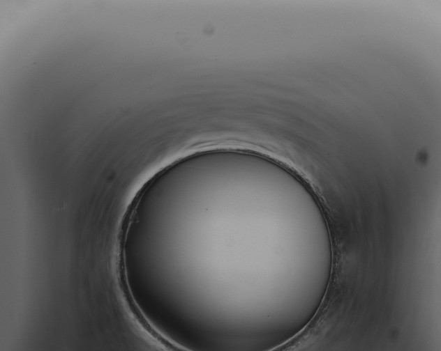 X0000098001518200804011820