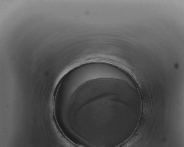 X0000098001522200804011820