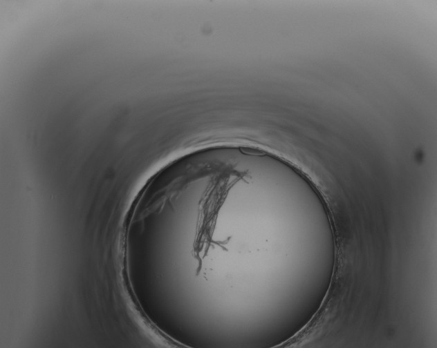 X0000098001526200804011820