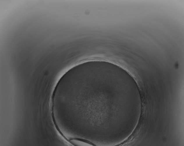 X0000098001527200804011820