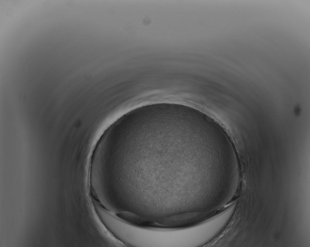 X0000098001528200804011820