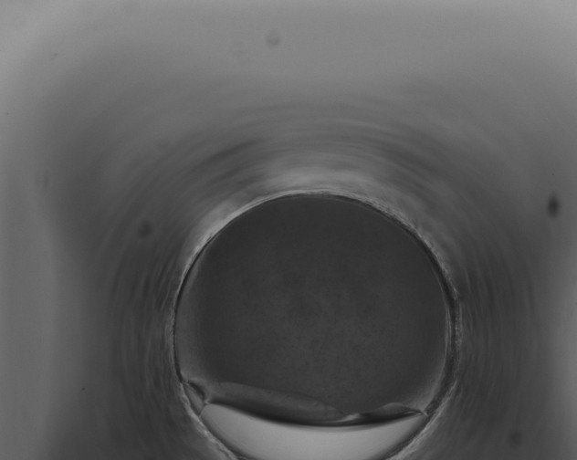 X0000098001529200804011820