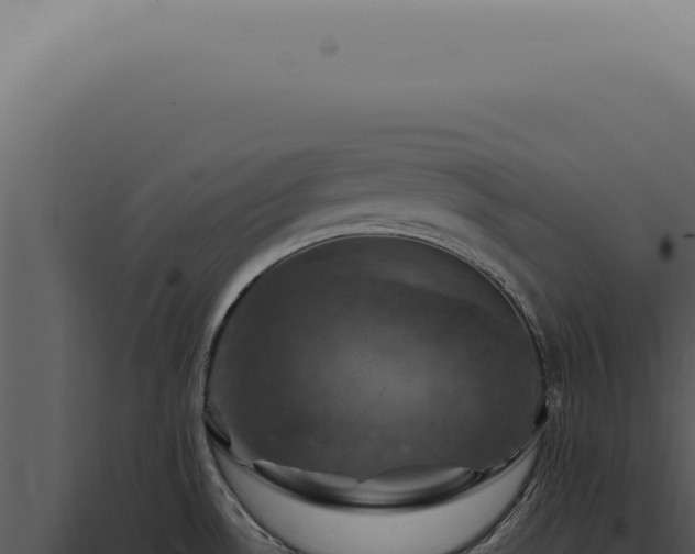 X0000098001530200804011820