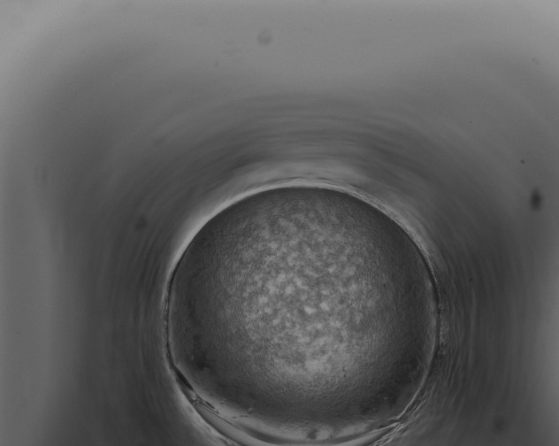 X0000098001532200804011820