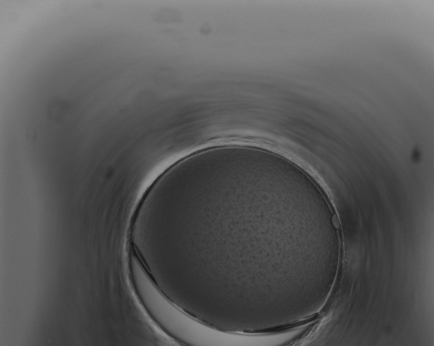 X0000098001533200804011820