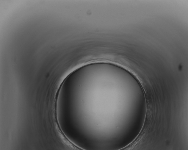 X0000098001534200804011820