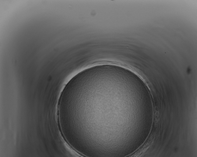 X0000098001535200804011820