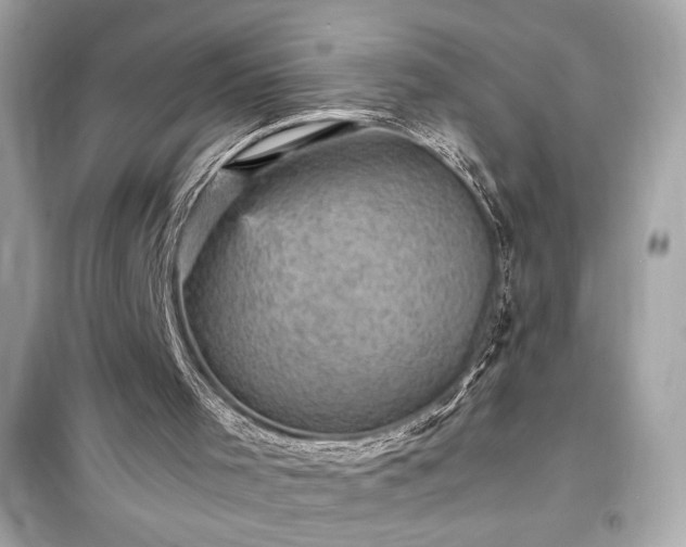 X0000098000001200804021042