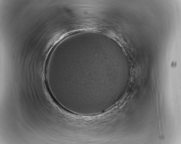 X0000098000002200804021042