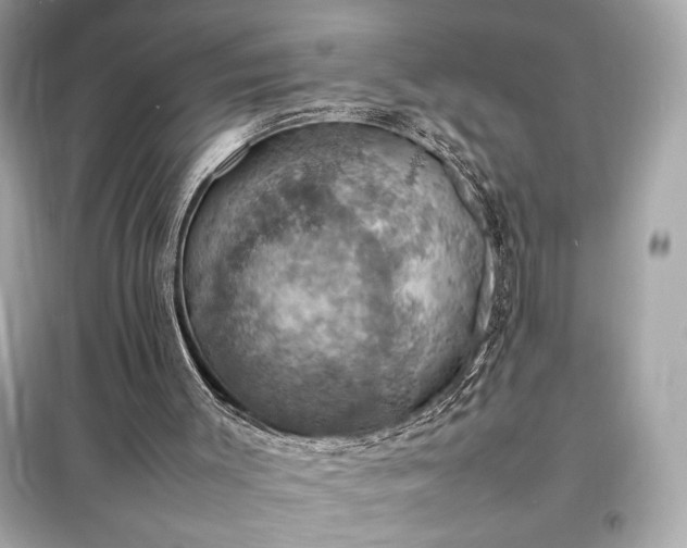 X0000098000003200804021042