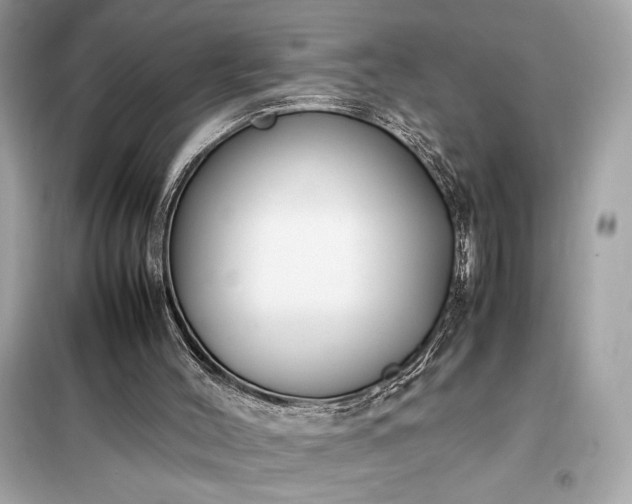 X0000098000004200804021042