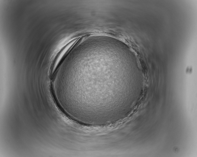 X0000098000005200804021042