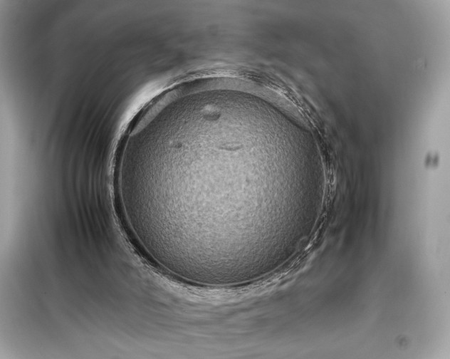 X0000098000006200804021042