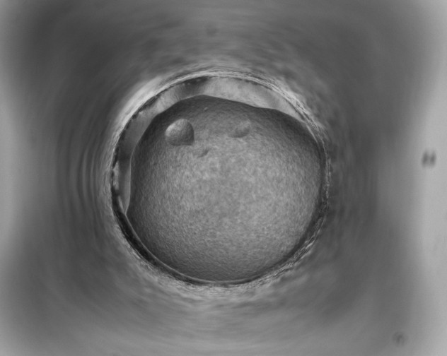 X0000098000007200804021042