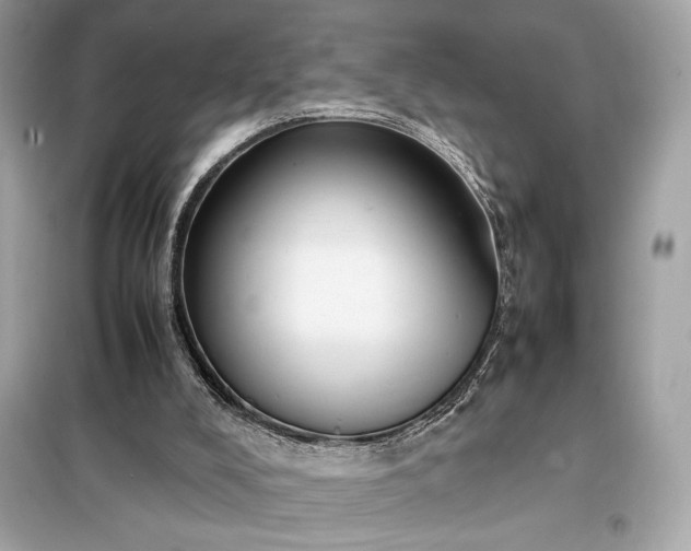 X0000098000008200804021042