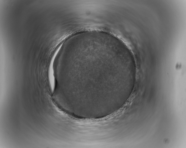 X0000098000009200804021042