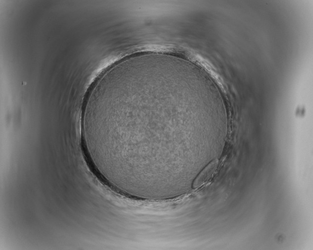 X0000098000011200804021042