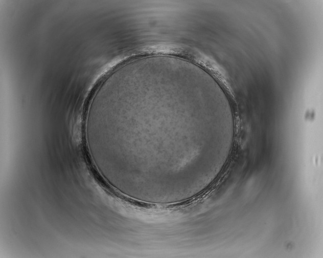 X0000098000012200804021042