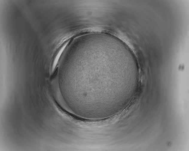 X0000098000013200804021042