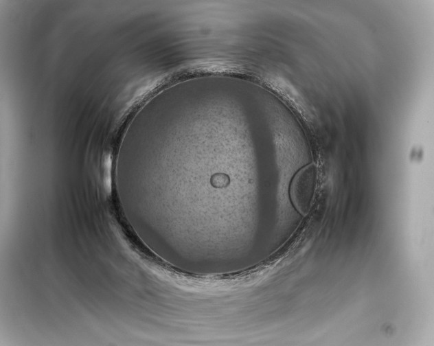 X0000098000014200804021042