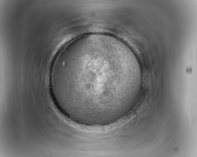 X0000098000015200804021042