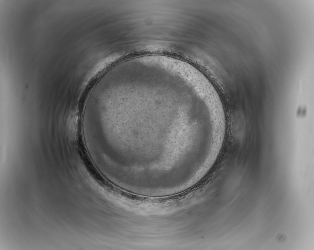 X0000098000016200804021042