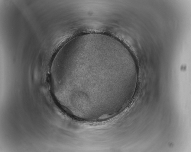 X0000098000017200804021042