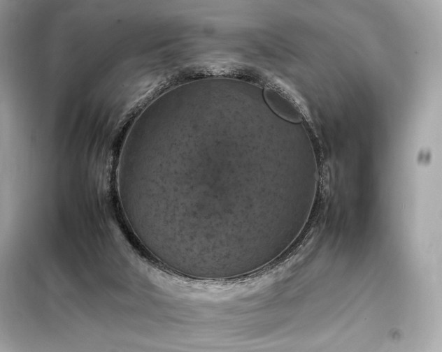 X0000098000018200804021042