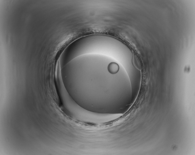 X0000098000019200804021042