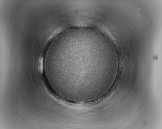 X0000098000020200804021042