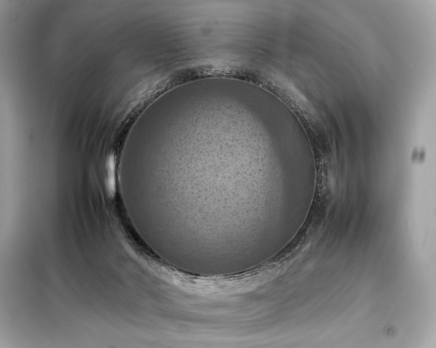 X0000098000022200804021042