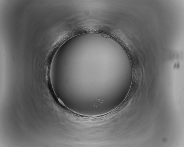 X0000098000023200804021042