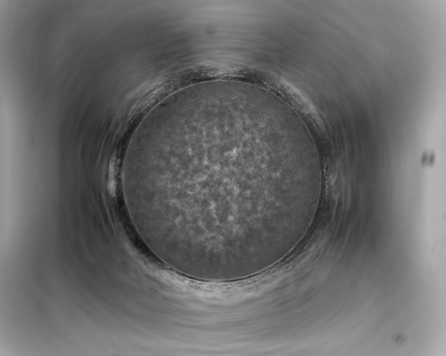 X0000098000026200804021042