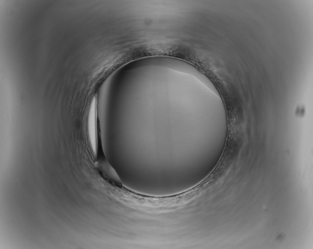 X0000098000027200804021042
