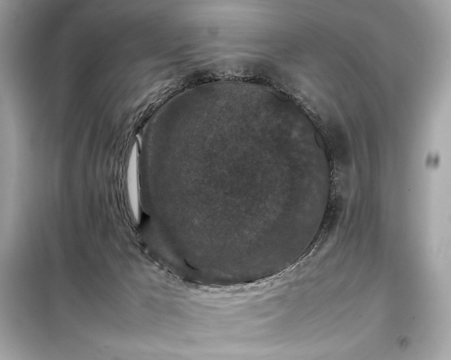 X0000098000029200804021042