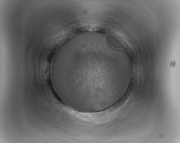 X0000098000030200804021042