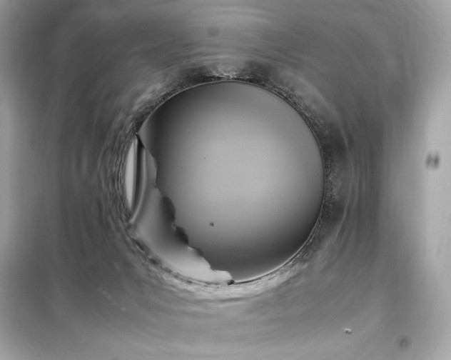 X0000098000031200804021042