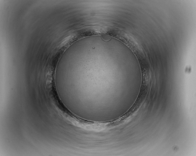X0000098000032200804021042