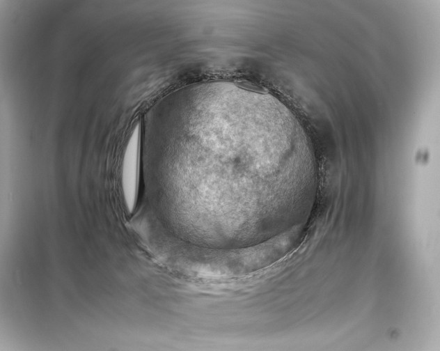 X0000098000033200804021042